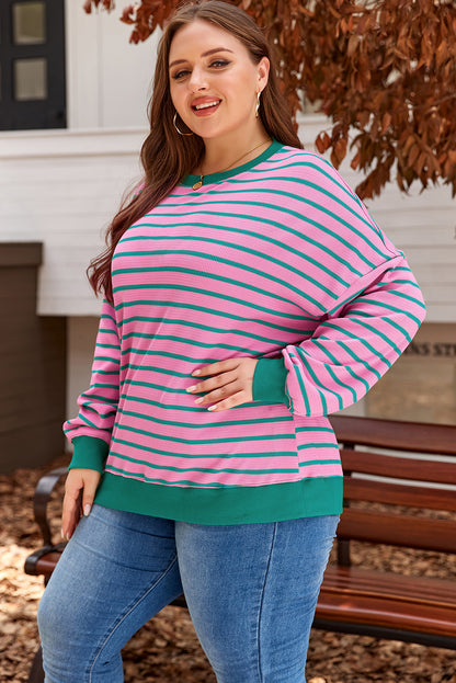 Pink Stripe Waffle Knit Crew Neck Plus Size Sweatshirt