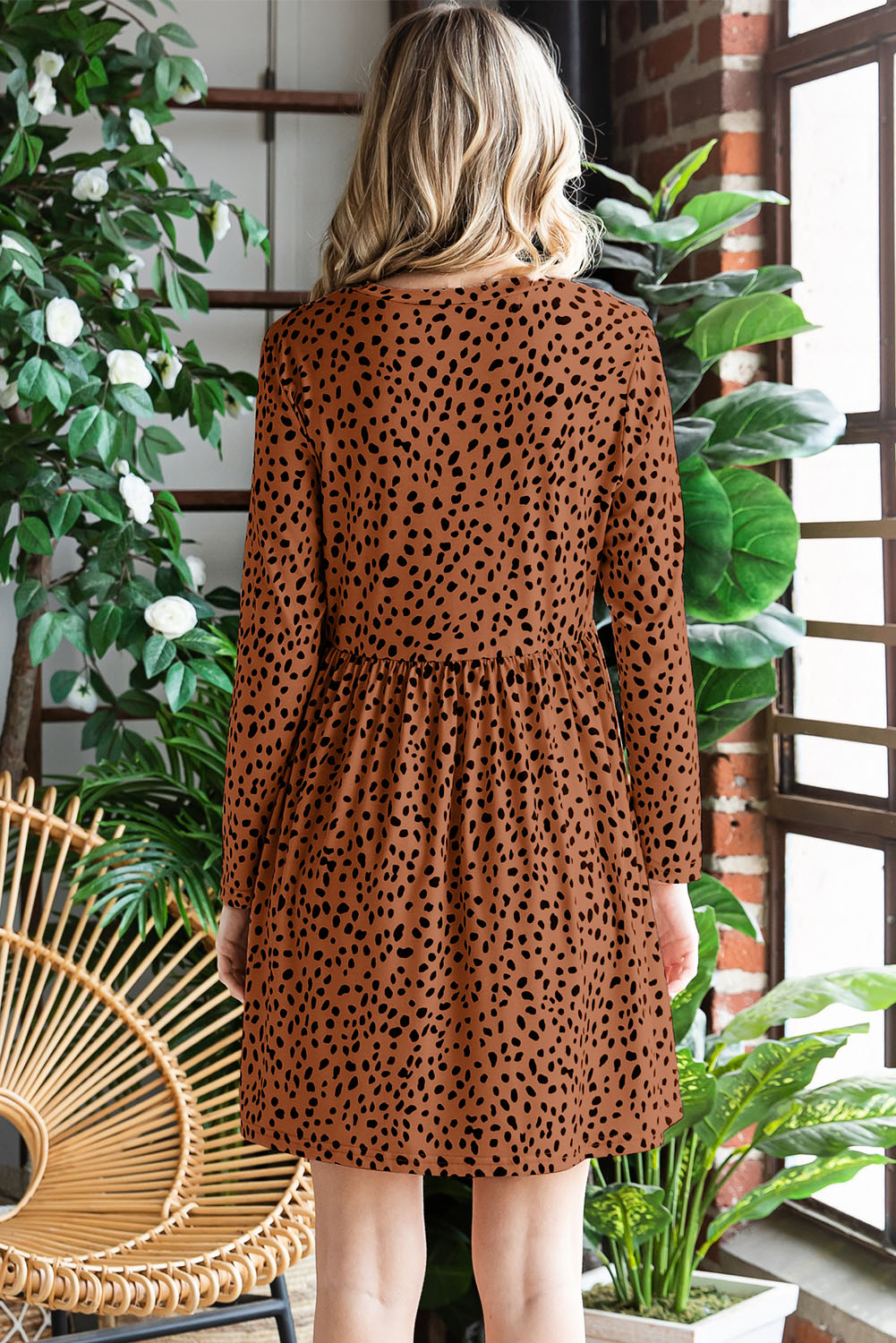 Printed Round Neck Long Sleeve Dress