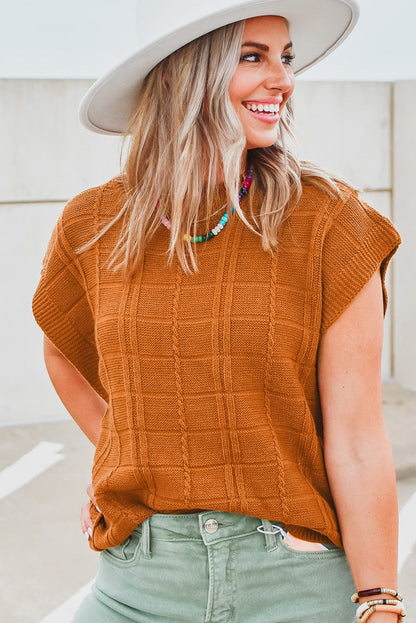 Chestnut Grid Textured Short Sleeve Sweater