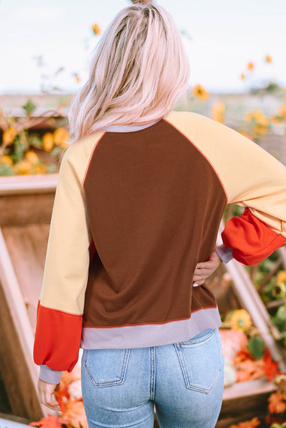 Color Block Round Neck Long Sleeve Sweatshirt