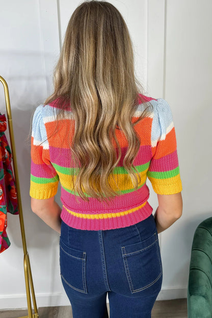 Multicolour Color Block Cropped Short Sleeve Sweater