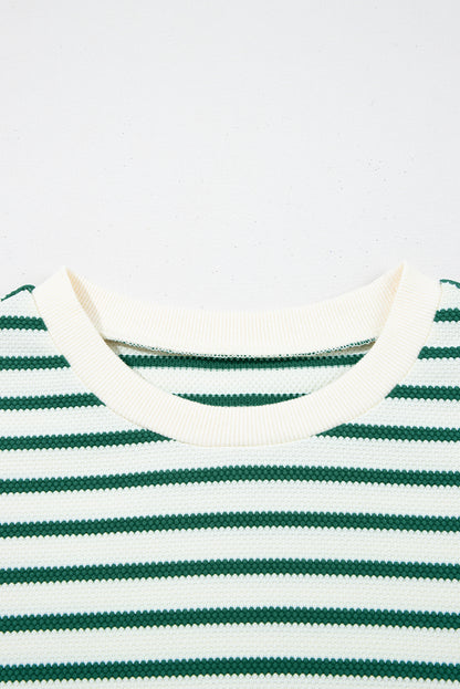 Green Stripe Scallop Lace Trim Ruffle Short Sleeves Crewneck Top