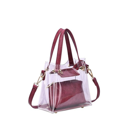 Transparent Clear Mini Tote/Crossbody