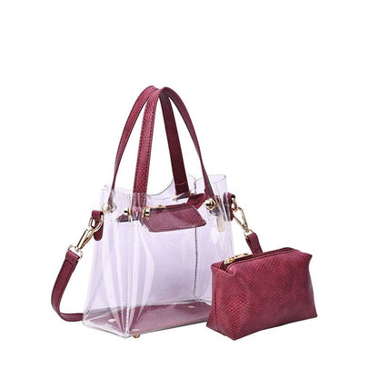 Transparent Clear Mini Tote/Crossbody