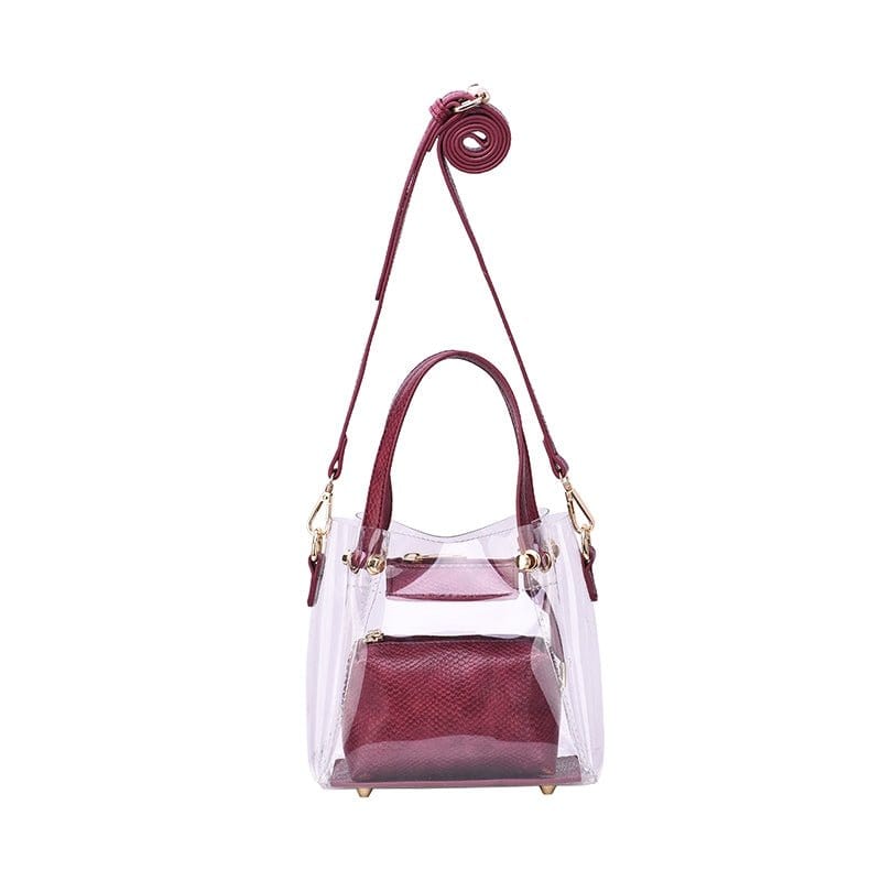 Transparent Clear Mini Tote/Crossbody