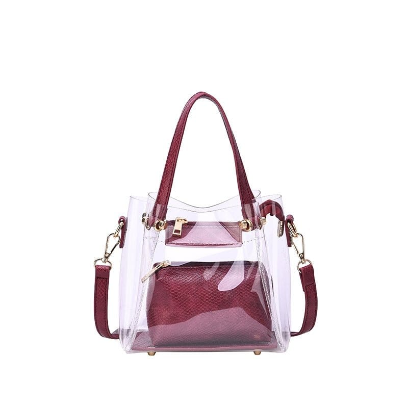 Transparent Clear Mini Tote/Crossbody